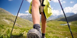 Chaussures de randonnée haute ou basse