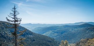 randonnée vosges sentier des roches