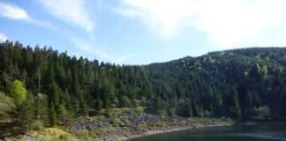 Lac Noir