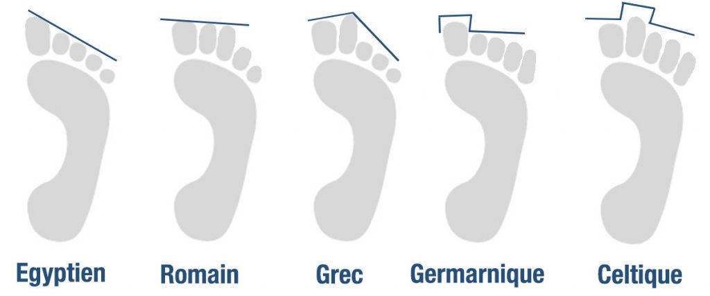 morphologies-pieds