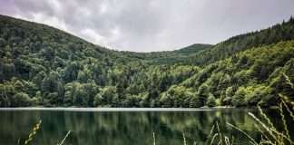 randonnée au lac du ballon