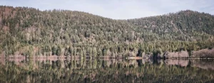 randonnée dans les Vosges lac de longemer