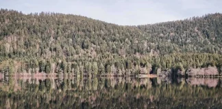 randonnée dans les Vosges lac de longemer