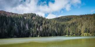 randonnée au lac vert vosges