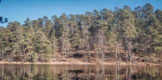 randonnée etang de Hasselfurth