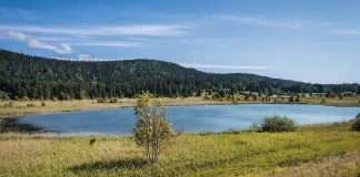 lac des rouges truites jura