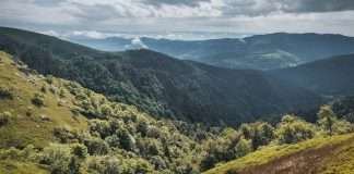 randonnée dans les Vosges Sentier des névés