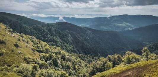 randonnée dans les Vosges Sentier des névés