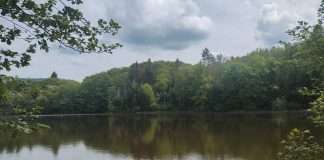 plateau des mille étangs