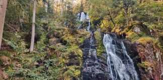 les cascades de tendon