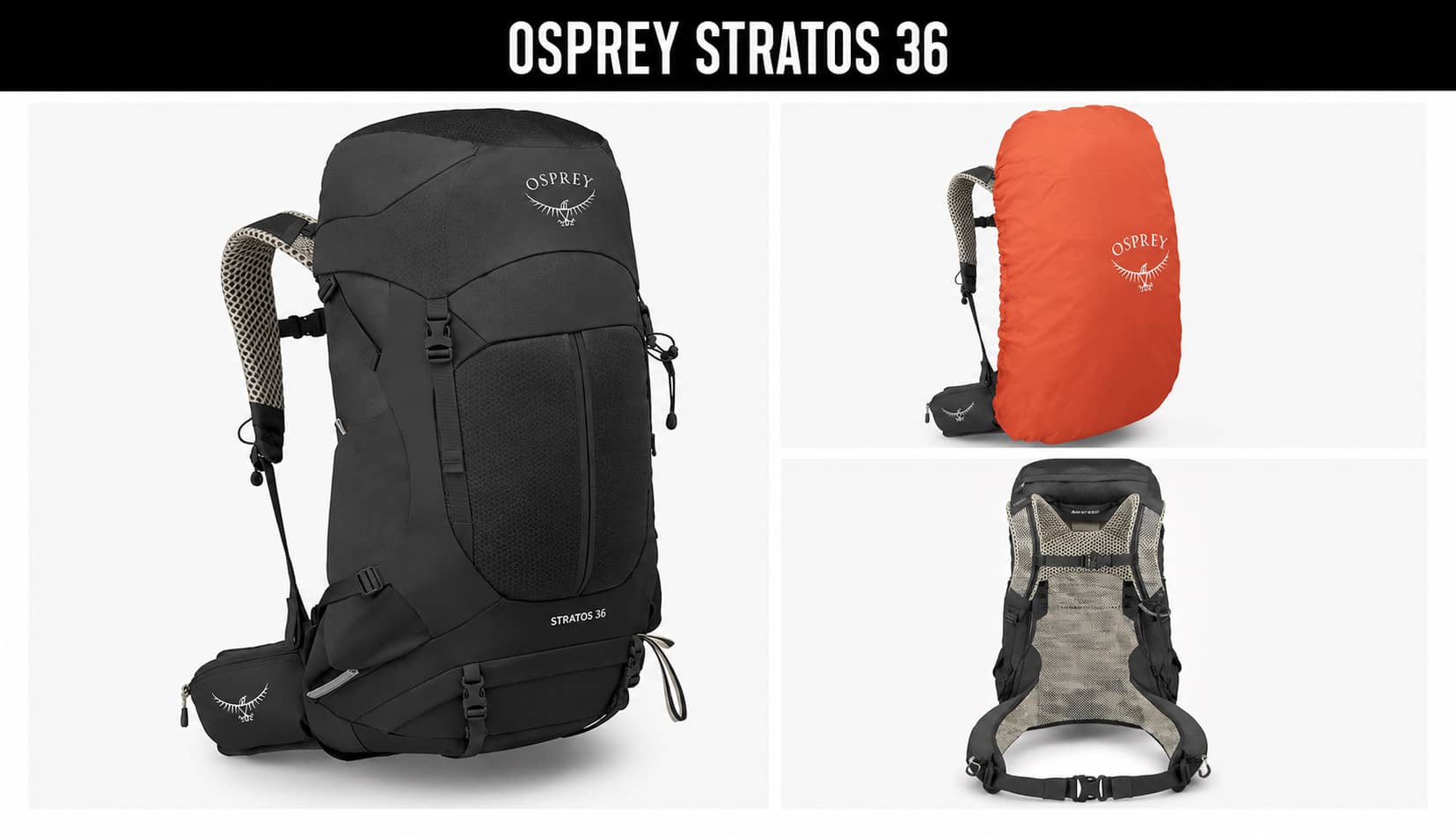 Osprey Stratos 36