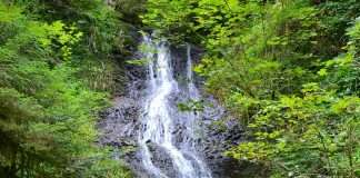 randonnée Saut de la bourrique