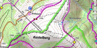 Les courbes de niveau