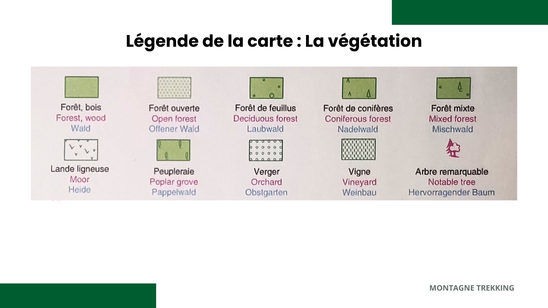 symboles végétations légende carte IGN