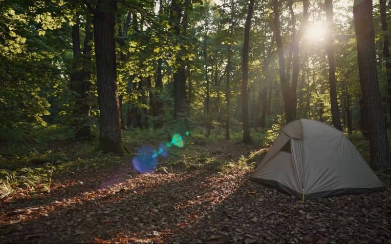 Trouver bivouac foret
