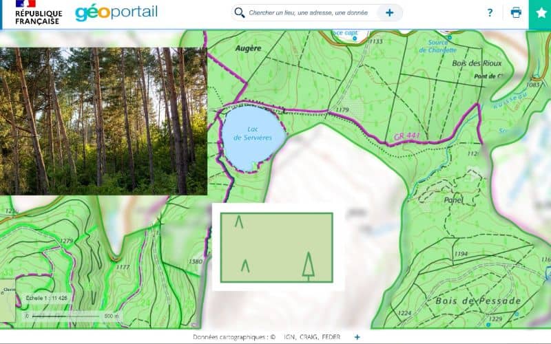 Zone foret carte ign
