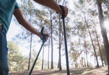Les meilleurs bâtons de marche pliables meilleurs batons de marche pliables
