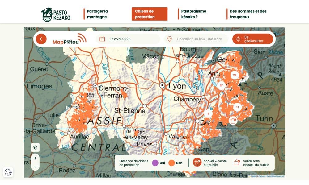 application map patou