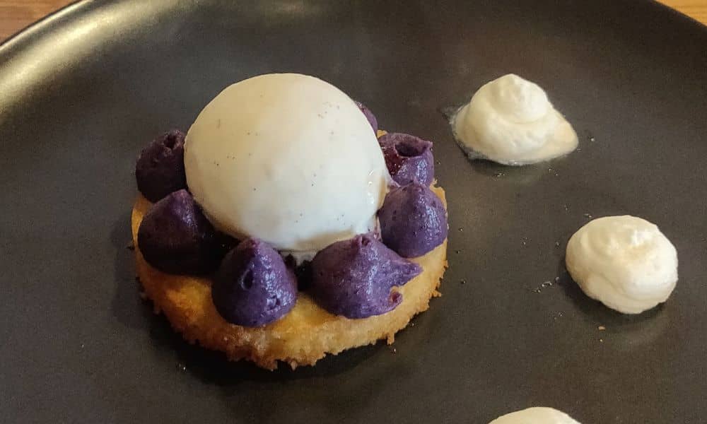 tarte myrtille gite grand rochebrune